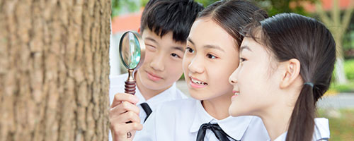 A(y)y2023갲ո߿֔(sh) Ʒ֔(sh)A(y)Ӌ