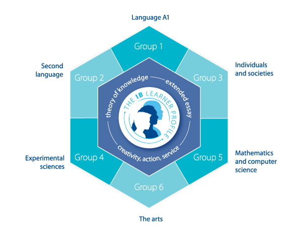 IB Diploma Programme Diagram