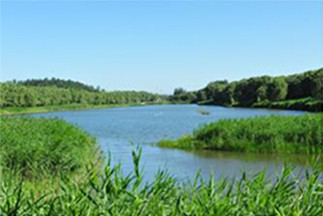 北京愛迪國際學校