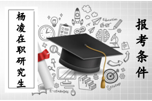 楊凌在職研究生