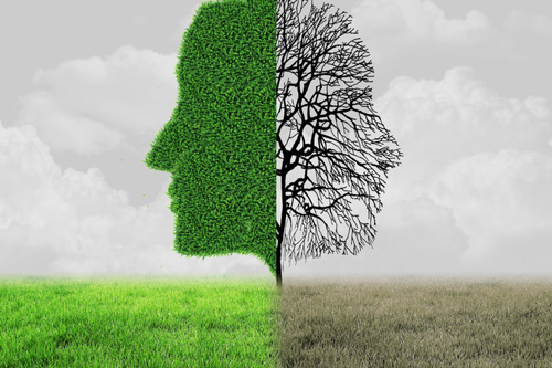 人力資源管理專(zhuān)業(yè)大學(xué)