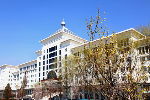 河北有大數據技術與應用專業的單招學校有哪些