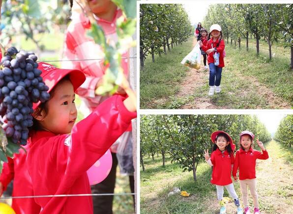 艾毅教育帶你敲開諾貝爾獎的大門