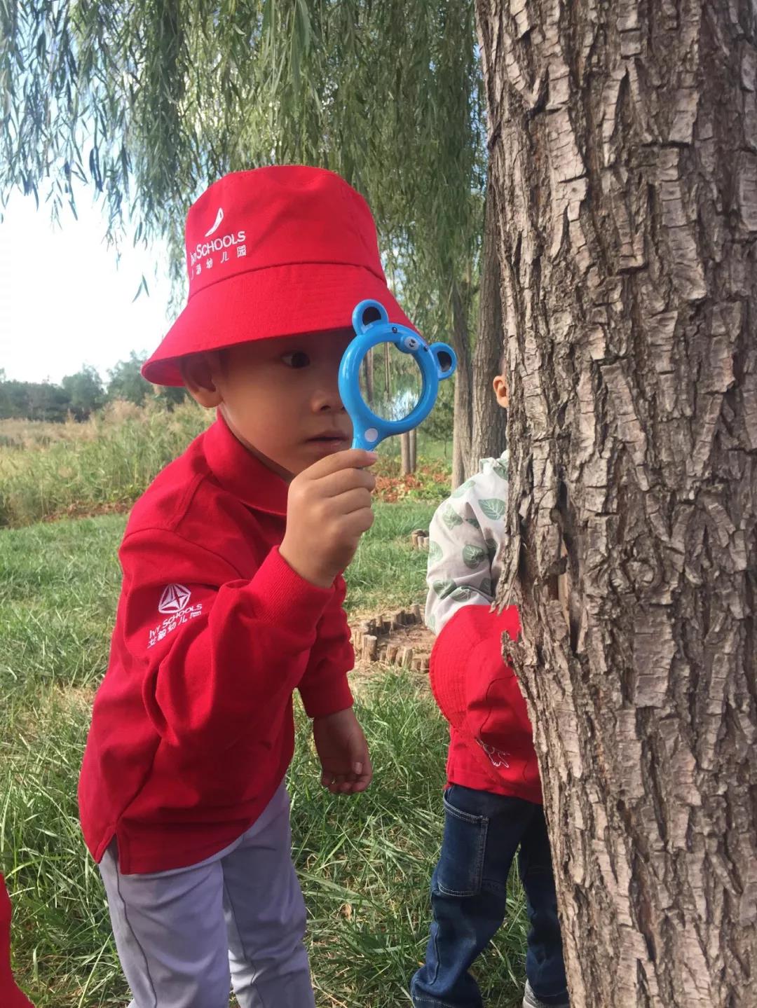 艾毅教育帶你敲開諾貝爾獎的大門