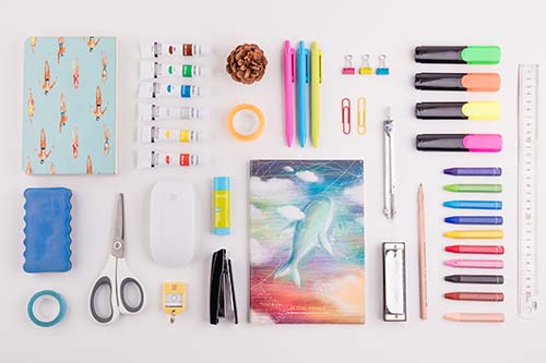 河北單招什么專業好