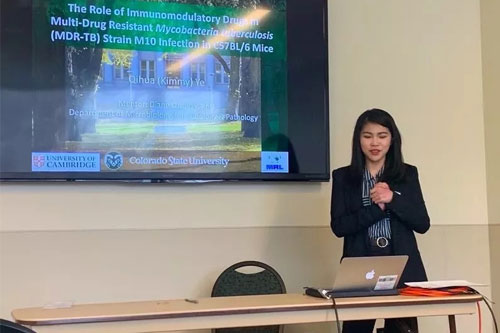 中育貝拉國際高中