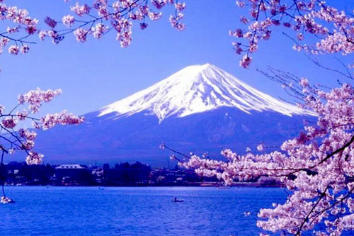 中育貝拉國際高中