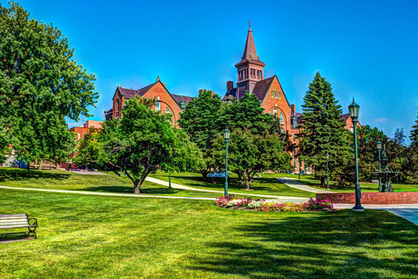 仙桃職業(yè)學院計算機網(wǎng)絡技術(shù)專業(yè)好不好