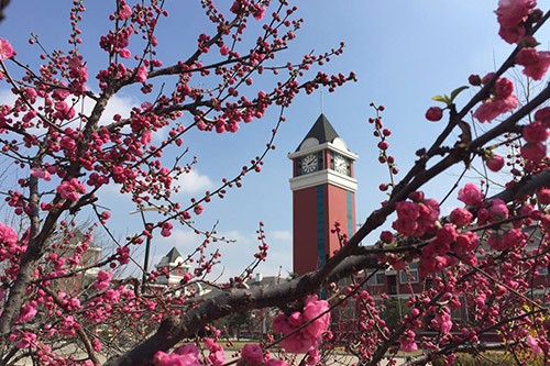 國際學(xué)校插班