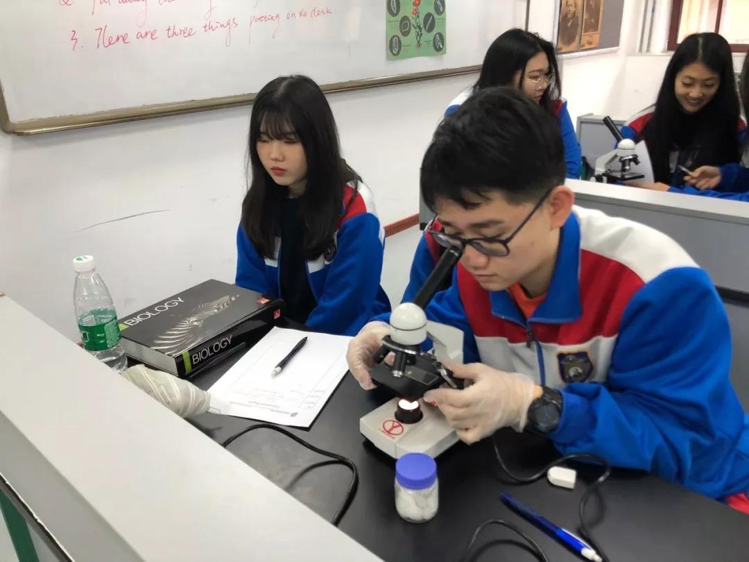 美國法拉古特天津校區