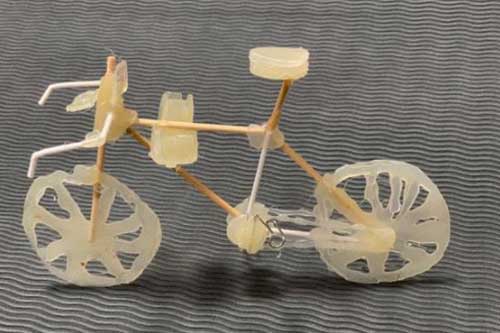 啟明星雙語學校