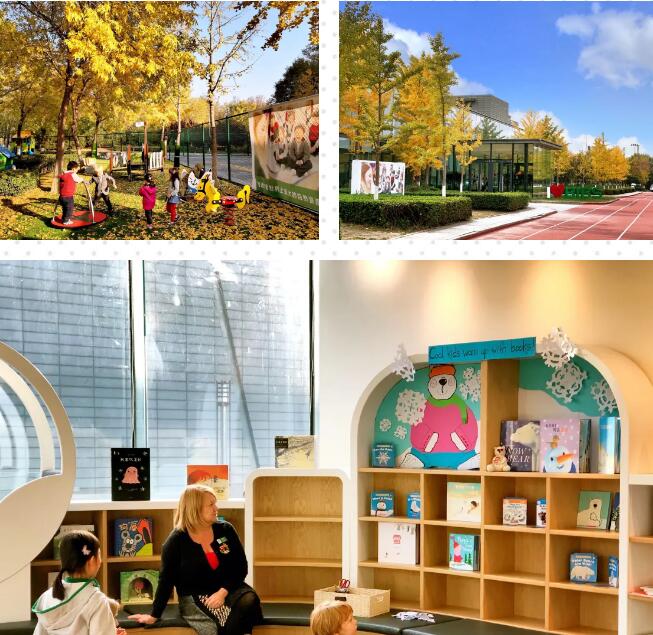 青苗國際幼兒園