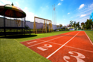 2020ͬȌW(xu)Tȫy(tng)r(sh)gѴ_@ЩrҪ˽