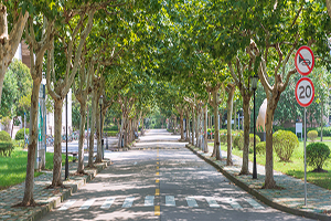 2020kW(xu)TʿԺУW(xu)MR