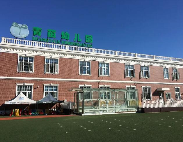 青苗國際幼兒園