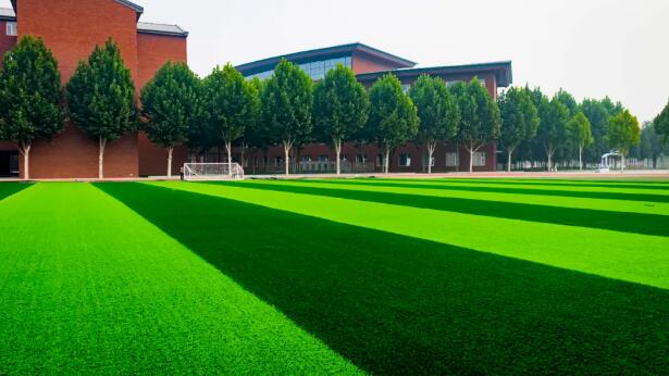 北京王府國際學校