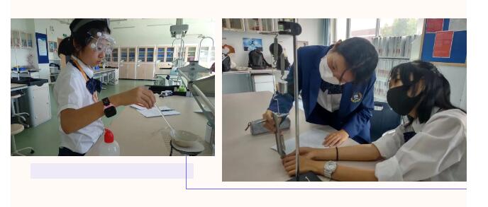 新東方國(guó)際雙語(yǔ)學(xué)校