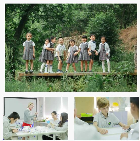 青苗國際雙語學校競爭力