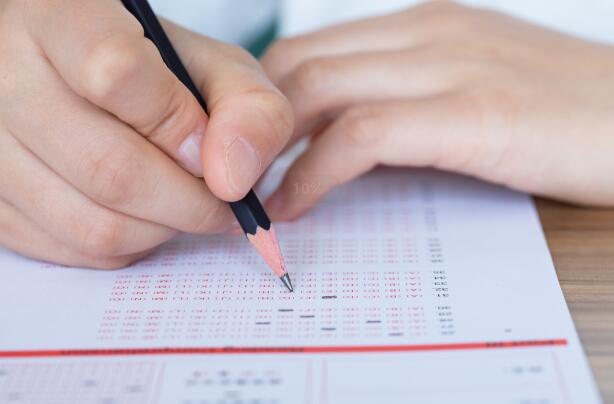 青苗國際雙語學校入學考試