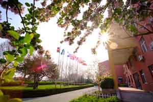 北京私立樹人瑞貝學校