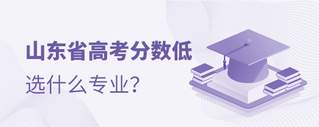 山東省高考分數低選什么專業