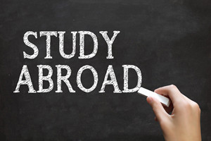 2021中外合作辦學碩士專業怎么選擇