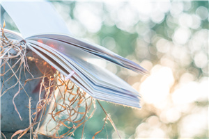 同等學(xué)力申碩和在職研究生的區(qū)別分析