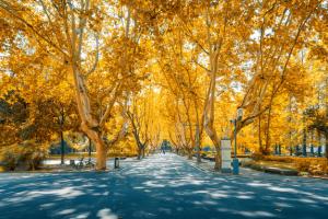 安徽外國(guó)語學(xué)院繼續(xù)教育學(xué)院雙證本科如何報(bào)名？