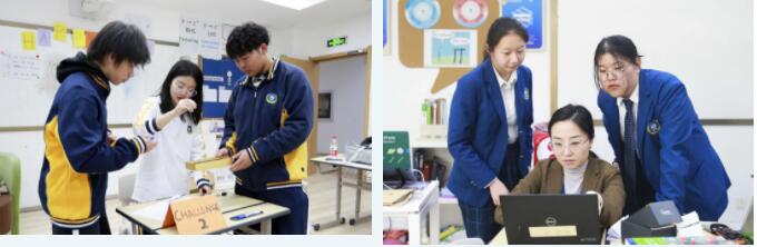 新東方國際雙語學校