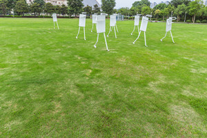 北京在職博士的招生院校有哪些