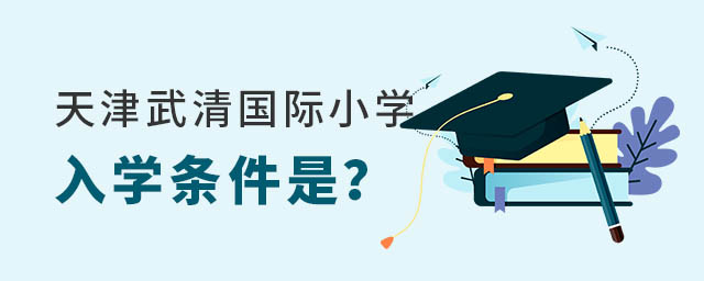 天津武清區國際小學