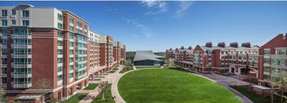 北京鼎石國際學校