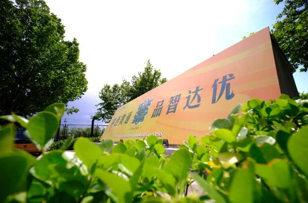 北京市私立樹人瑞貝學校國際高中