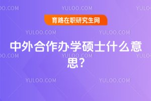 2025年中外合作辦學(xué)碩士什么意思?