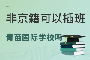 非京籍讀青苗國(guó)際雙語學(xué)校.jpg