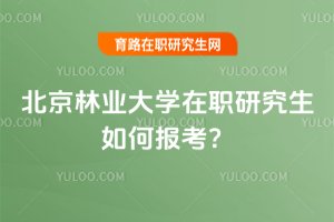 2025年北京林業大學在職研究生如何報考?