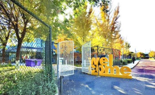 青苗國際雙語學校