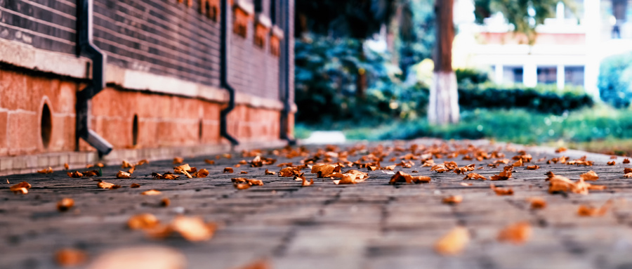 綿陽高考200分上什么學校?