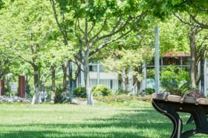 2022年文科就業前景好的專業有哪些?