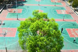 2022年河南高考理科200分能選啥學校?