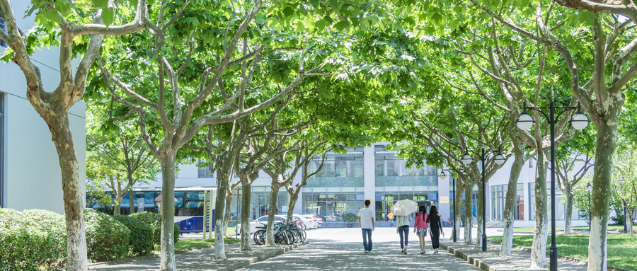 wCCO(sh)SތI(y)ԺУl