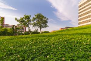 西安外國語大學(xué)國際學(xué)院空乘專業(yè)2025年報名條件