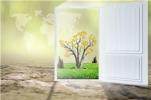 ͬȌWTW(wng)ψrgʲôr