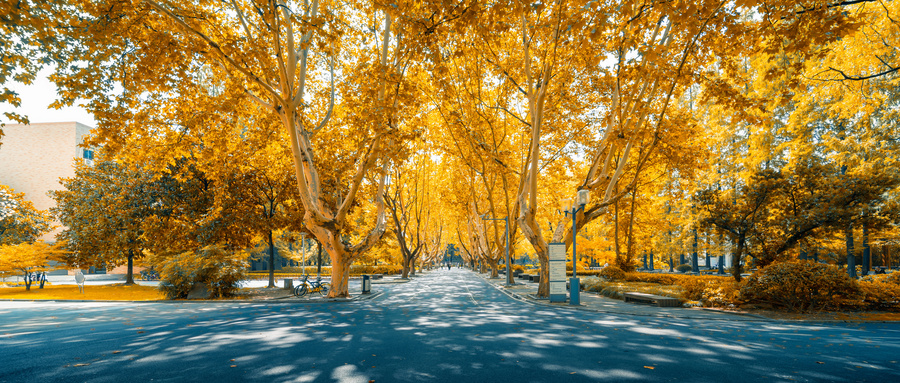 自考會計學專業好嗎?