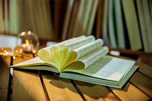 北京海淀區尚麗外國語學校招生階段