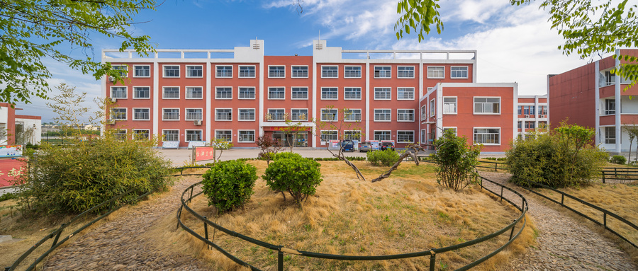 五年制師范大專畢業后去干了什么?