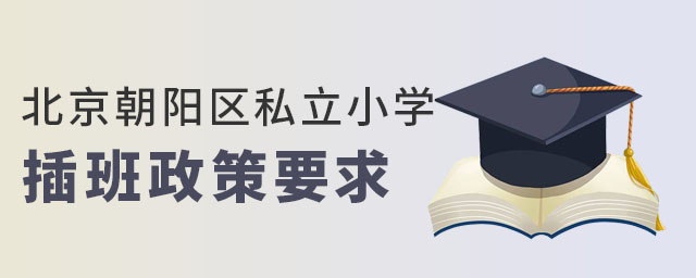 北京朝陽區私立小學插班政策要求