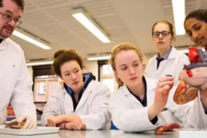 天津美達菲國際學(xué)校