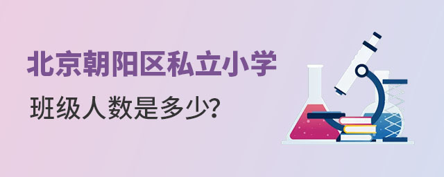 北京朝陽區私立小學班級人數有多少