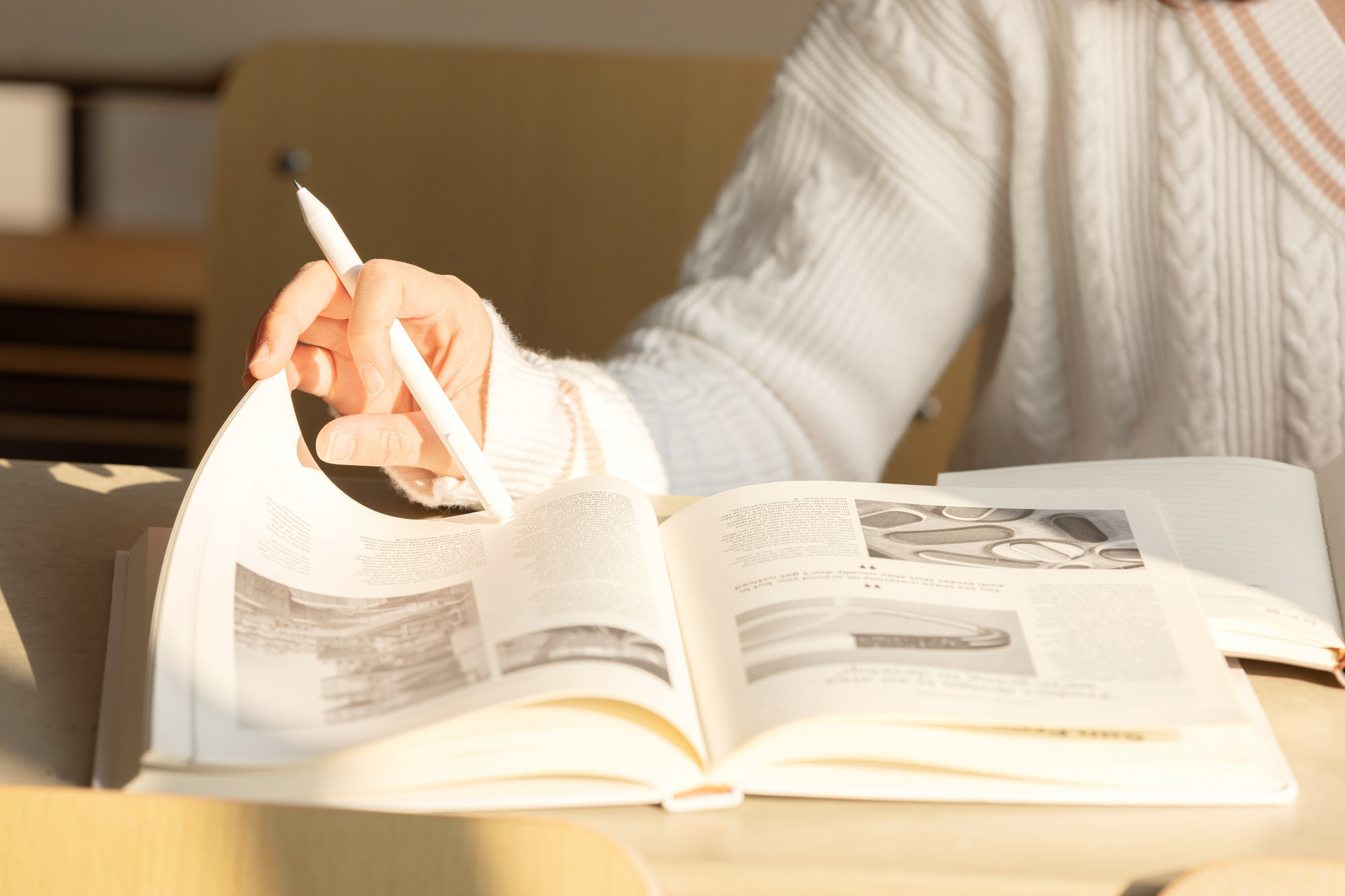 2023年山東單招學校名單